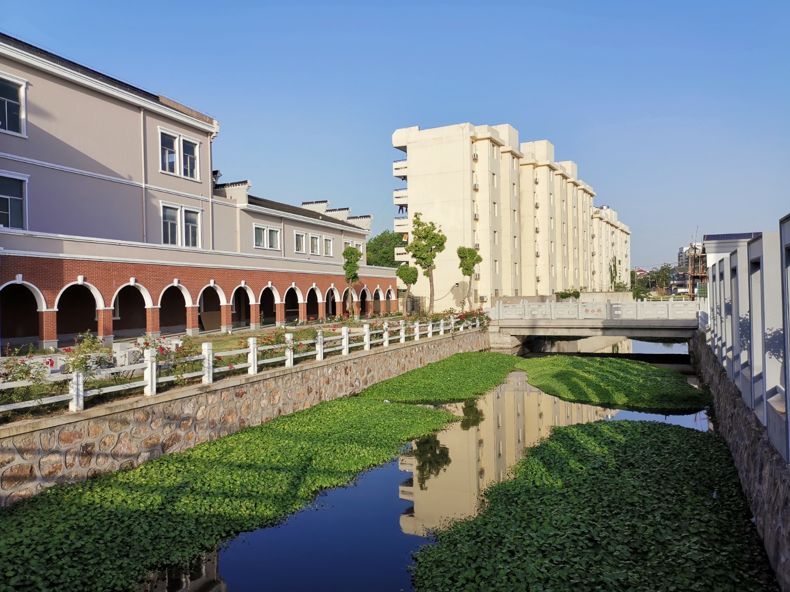 1638963273248171.jpg 1638963273248171.jpg