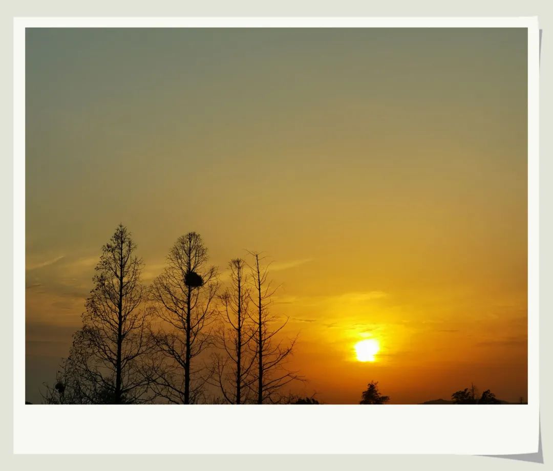 1646724988186357.jpg 微信图片_20220308152716.jpg