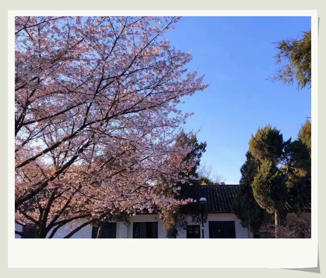 1646724761713109.jpg 微信图片_20220308152708.jpg