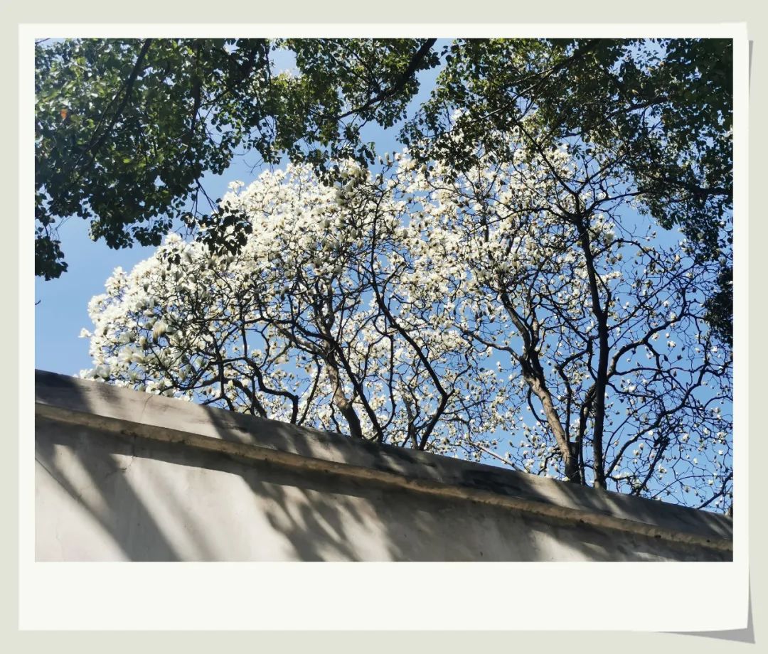 1646724879767872.jpg 微信图片_20220308152710.jpg