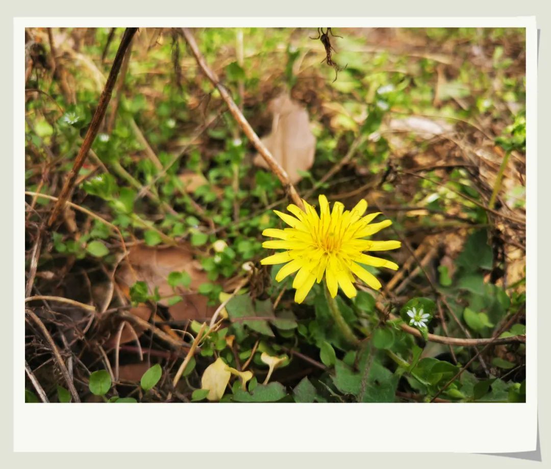 1646725040765985.jpg 微信图片_20220308152718.jpg