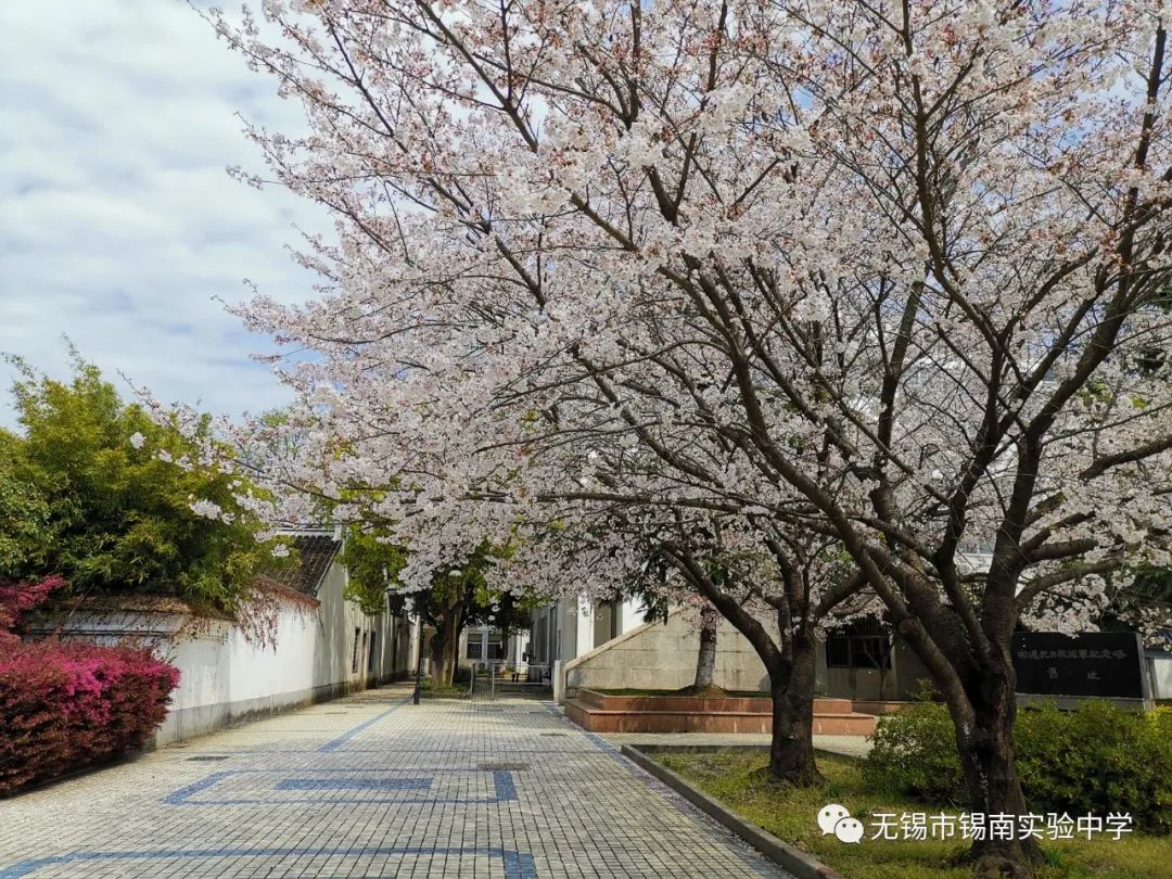 1654648914441971.jpg 3.jpg