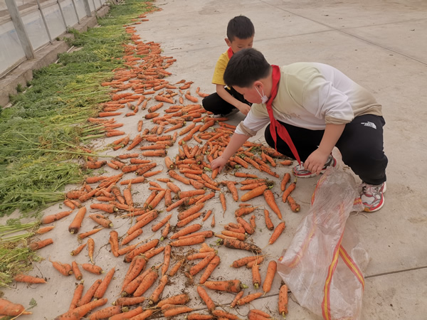 1715148167840173.jpg 2-16.jpg