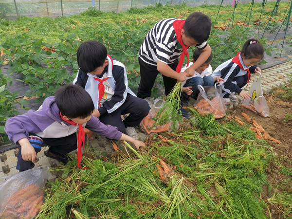 1715148141390424.jpg 2-1.jpg